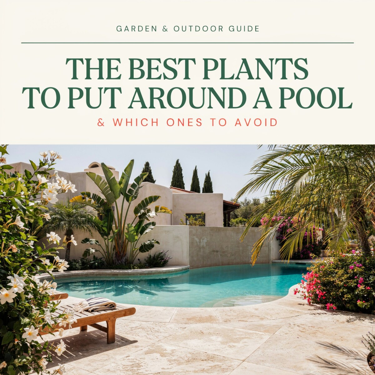 The Best Plants to Put Around a Pool (and Which Ones to Avoid)